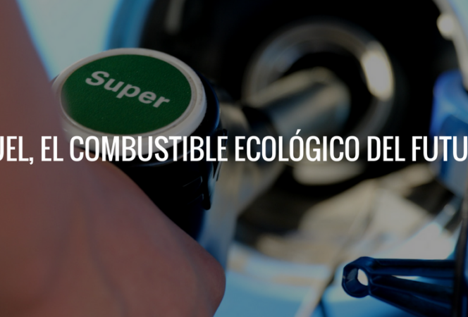 ALEMANIA VETA LA PROHIBICIÓN DE LOS COCHES DE COMBUSTIÓN EN FAVOR DEL HIDRÓGENO COMO COMBUSTIBLE TÉRMICO